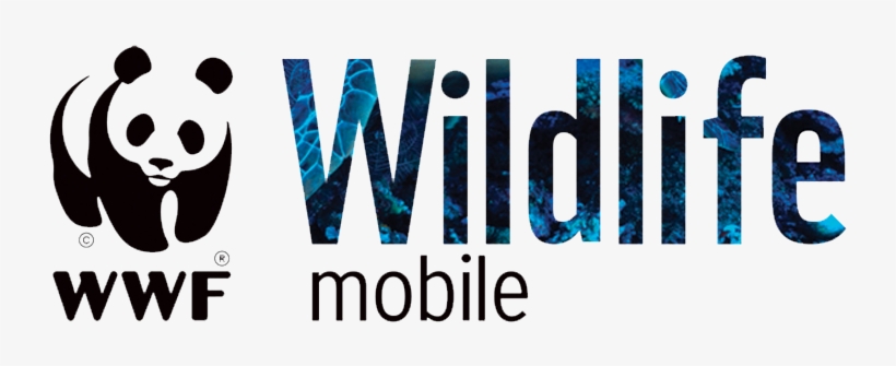 Wwf - Jared Leto Hot Actor Singer 47x35 Print Poster, transparent png download