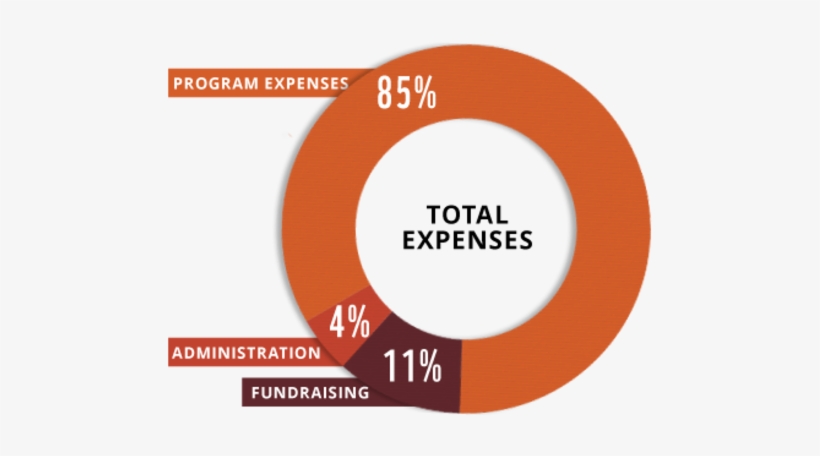 Wwf Endangered Species Conservation World Wildlife - Circle, transparent png download