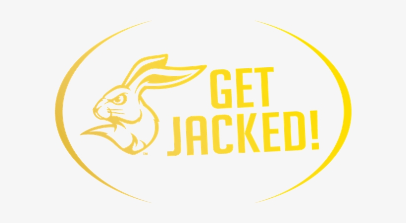 Ncaa South Dakota State Jackrabbits 16oz. Pint Glass, transparent png download