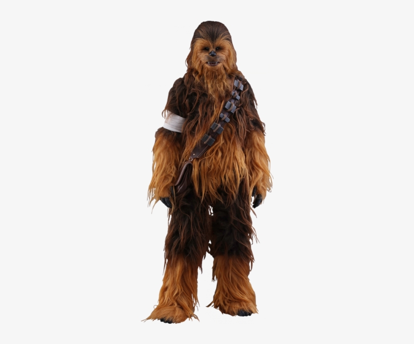 Hot Toys Movie Masterpiece Series Sixth Scale Force - Hot Toys Chewbacca Figure From Star Wars, transparent png download