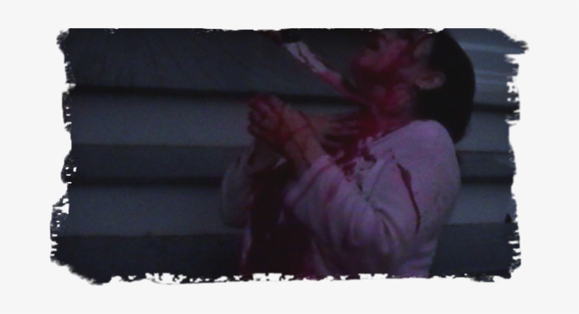 They Have Come A Long Way On So Little, And Just Need - Photo Caption, transparent png download