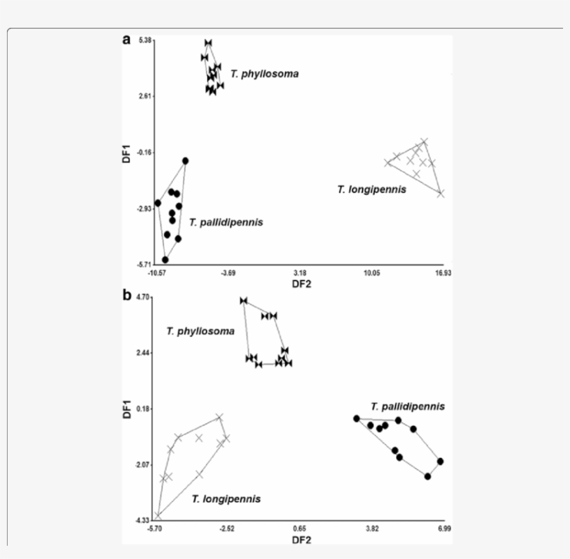 Discriminant Analysis Of Volatiles Released By Disturbed - Point, transparent png download