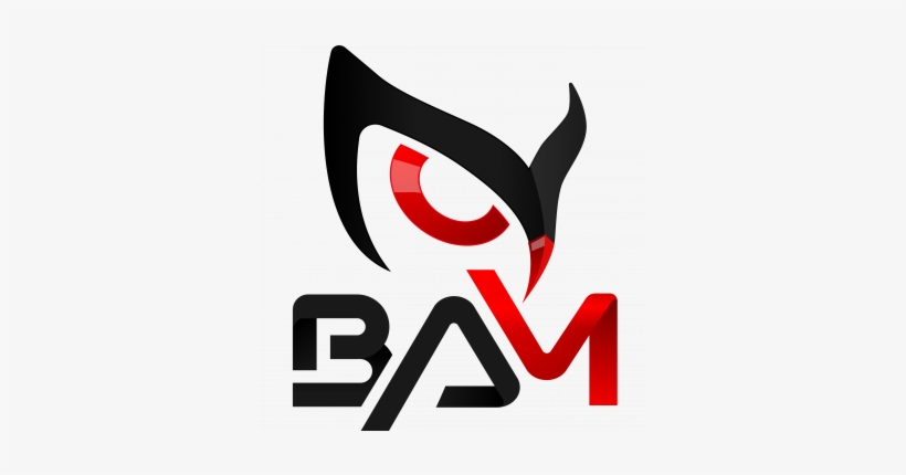 Bam Project - Logos Bam, transparent png download