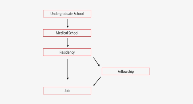 Training, transparent png download