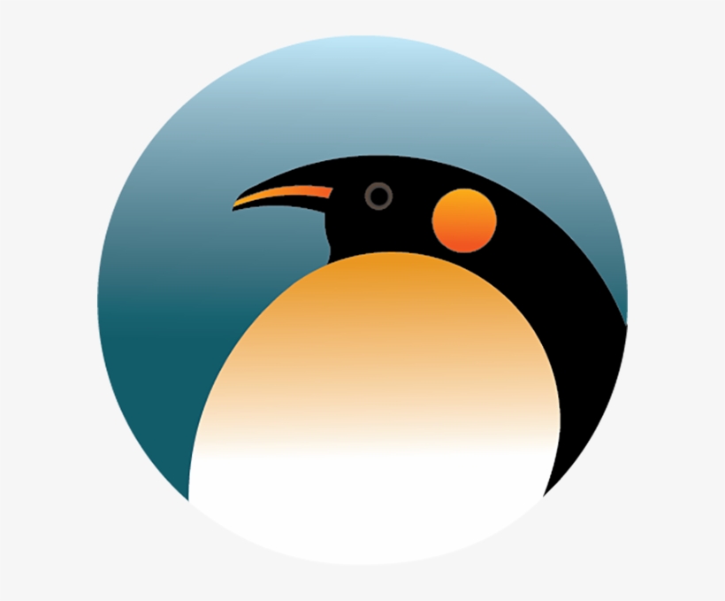 Logo Experimentation - Piciformes, transparent png download