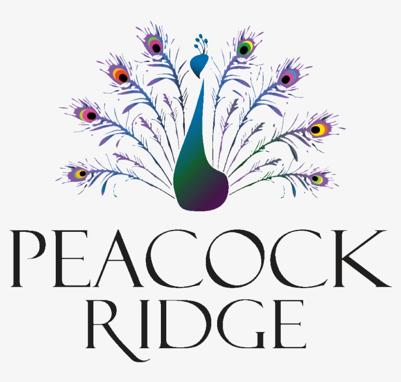 Jc Creation - Graphic Design, transparent png download