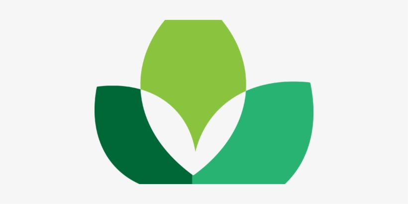 Information On Next Webinar Coming Soon, transparent png download