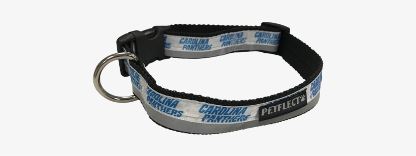panthers dog collar