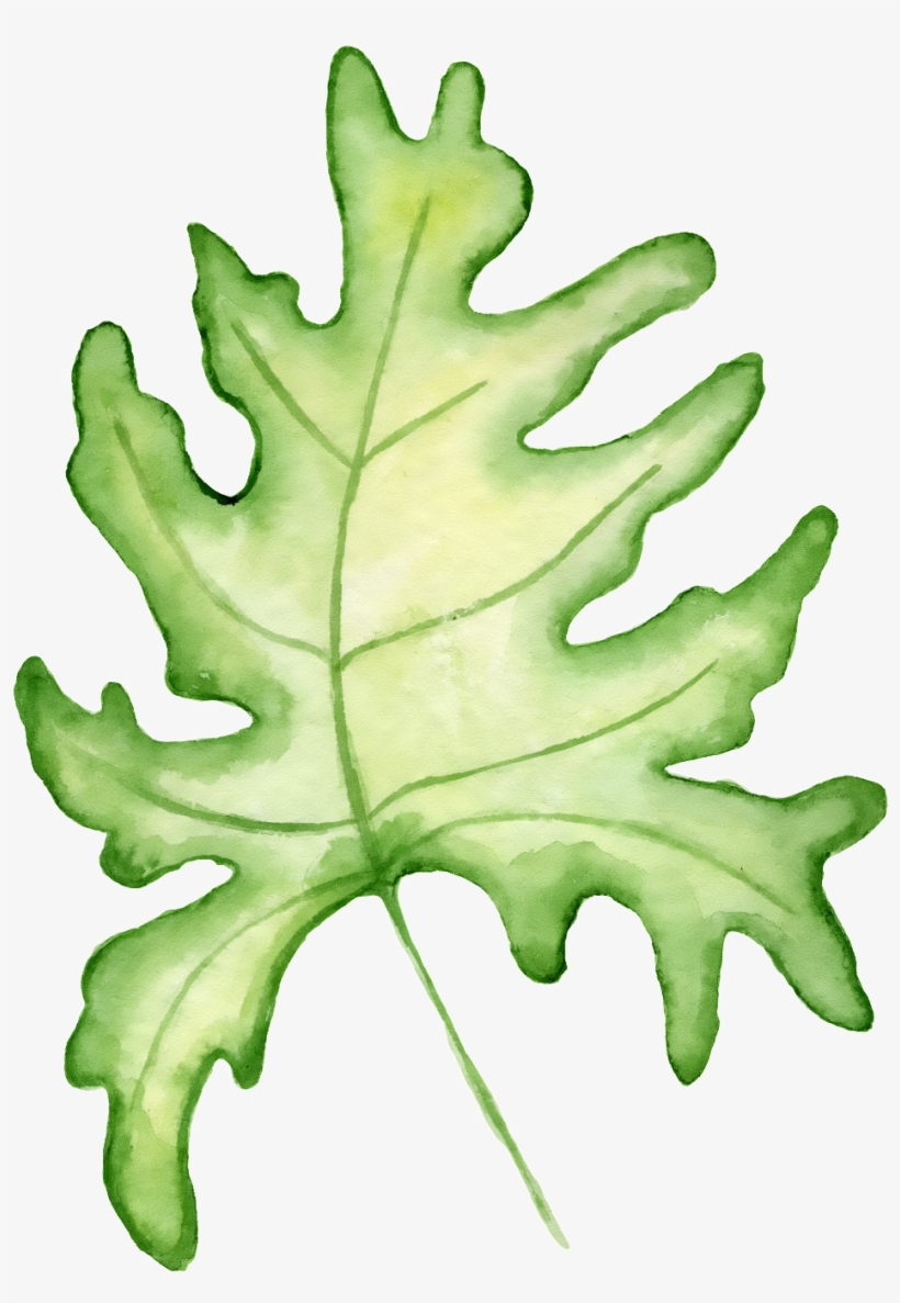 Hand Painted A Large Leaf Png Transparent - Portable Network Graphics, transparent png download