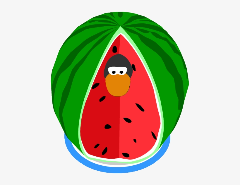 Watermelon Costume Ig, transparent png download
