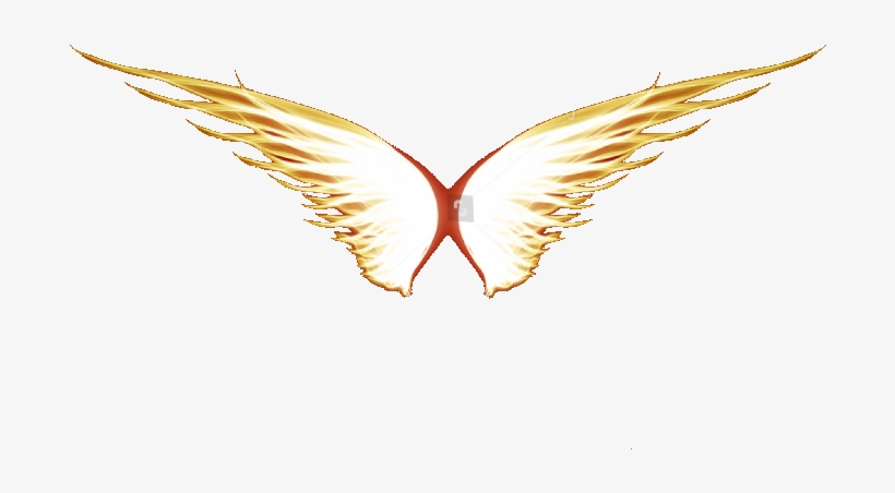Flame Wing, transparent png download