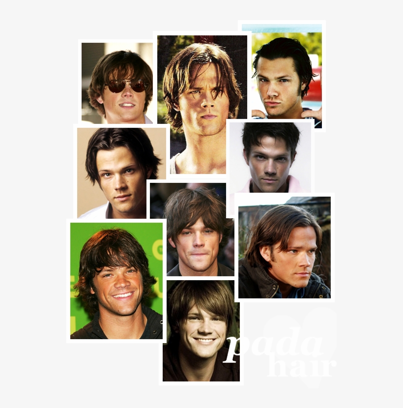 The Padahair's 12th Thread - Collage, transparent png download