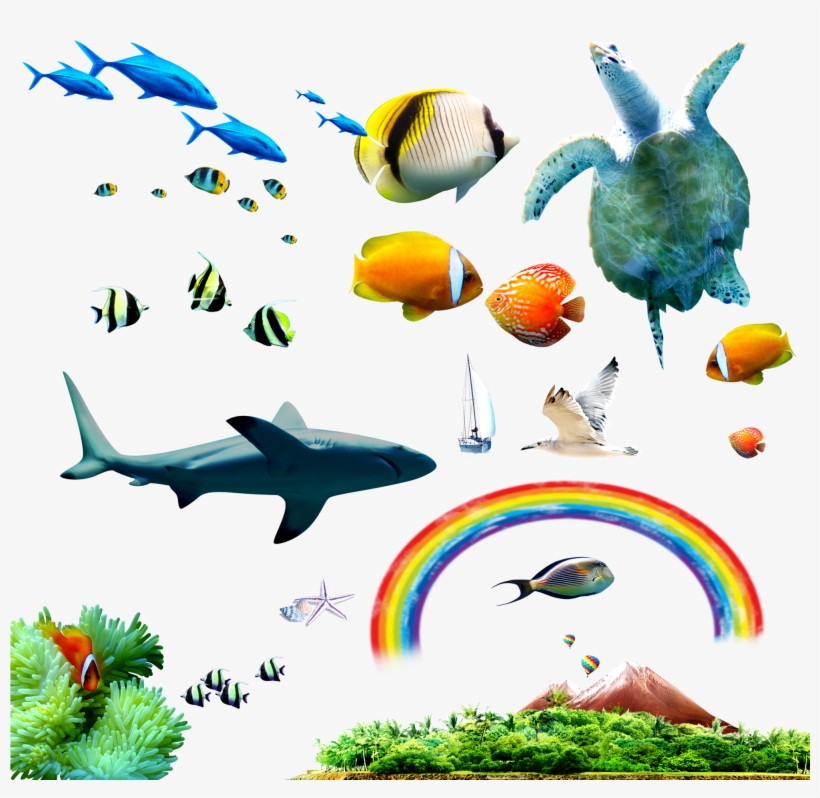 Tropical Fish Sea Clip Art, transparent png download