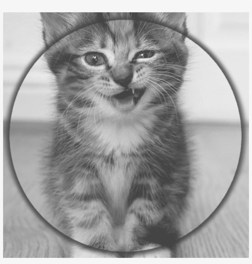 Skin-ogario Png "cat Angry" By, transparent png download