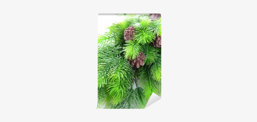 Christmas Tree, transparent png download