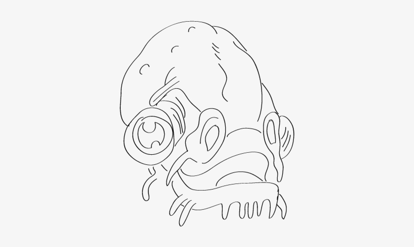Admiral Ackbar - Line Art, transparent png download