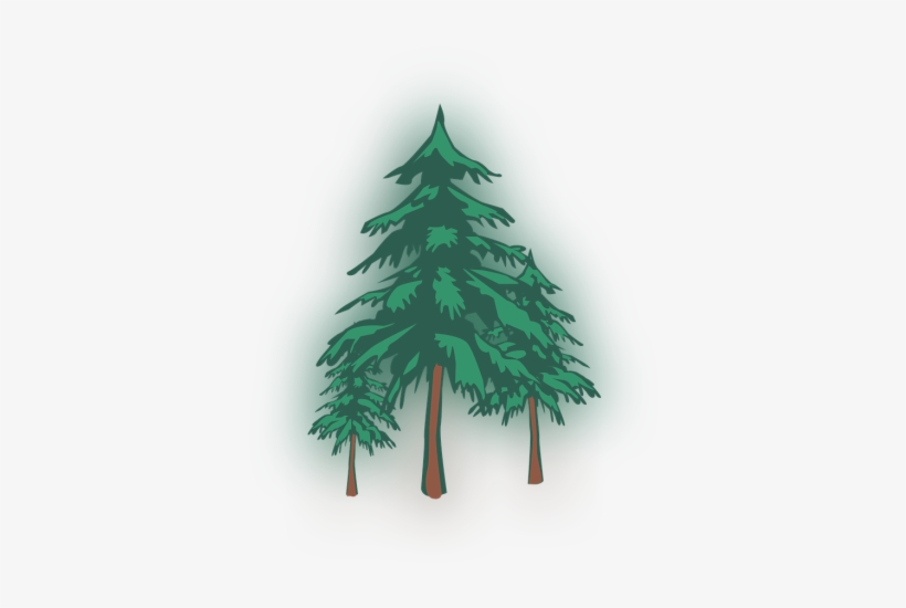 Color Palette Ideas From Christmas Tree Woody Plant - Christmas Tree, transparent png download