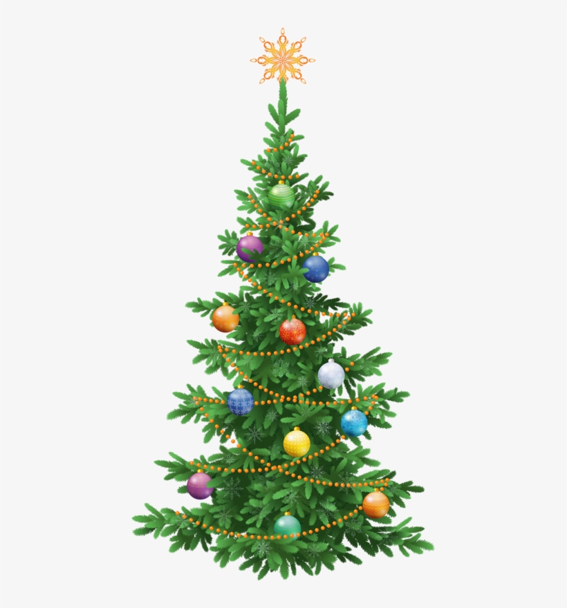 Trees °• - ‿✿⁀ - Blue Spruce Silhouette, transparent png download