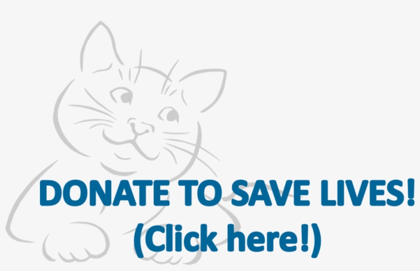 Donate Logo - Blank Sketchbook For Cat People, transparent png download