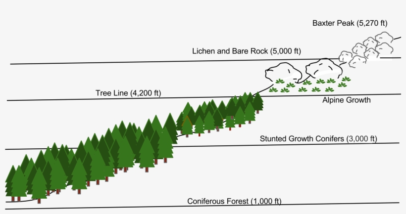 Open - Library, transparent png download