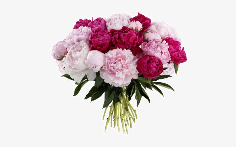 Photos V - Fete Des Mamans Fleurs, transparent png download