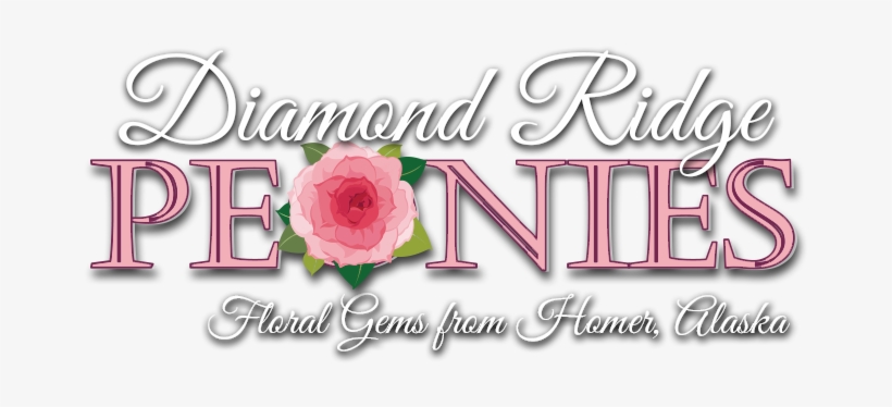 Diamond Ridge Peonies, transparent png download