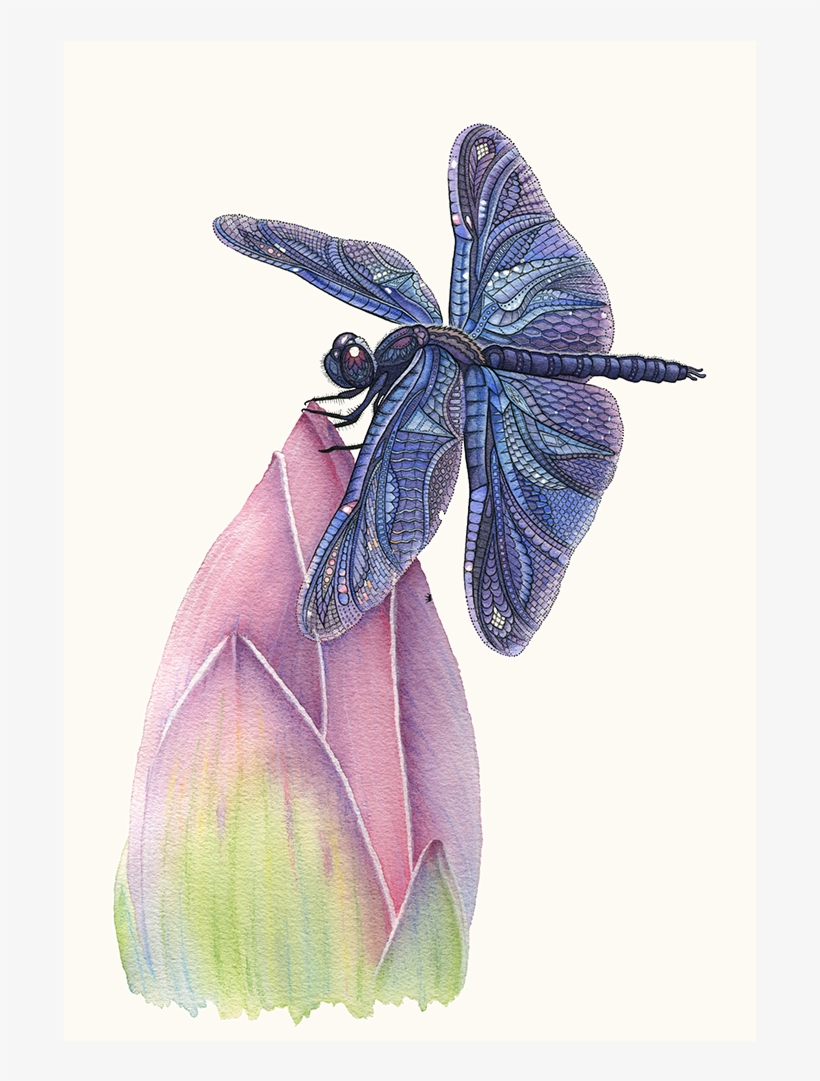 Pen, Watercolor, And Pastel On Watercolor Paper - Watercolor Painting, transparent png download