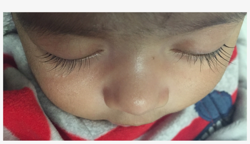 Eyelashes Of A 2 Month Old Baby Boy - Close-up, transparent png download