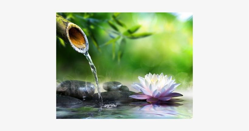 Green Bamboo Spout - Dhyana Yoga, transparent png download