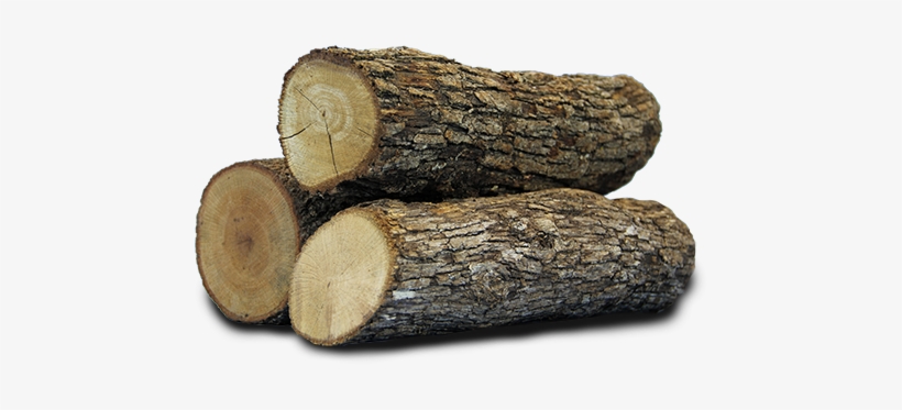 Log - Trained What I Expected, transparent png download