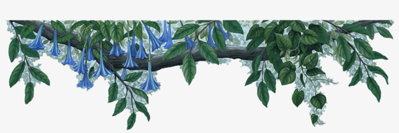 Jungle Border Png File - Blue Flowers Border Png, transparent png download