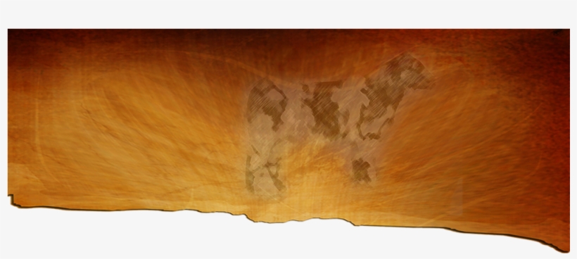 Plywood, transparent png download