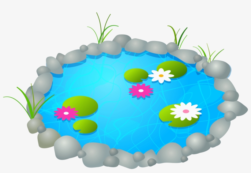 28 Collection Of Pond Clipart Top View, transparent png download