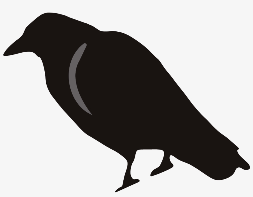 Brds Clipart Rook - Crow Silhouette, transparent png download