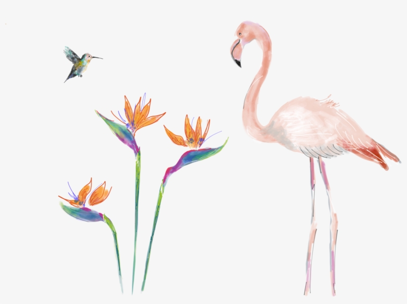 Contact - Agathests@gmail - Com - - Bird, transparent png download