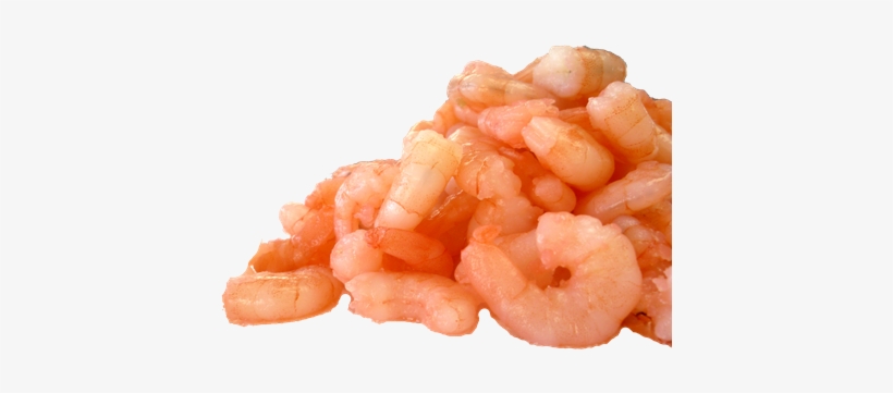 Free Icons Png - Cooked And Peeled Shrimp, transparent png download