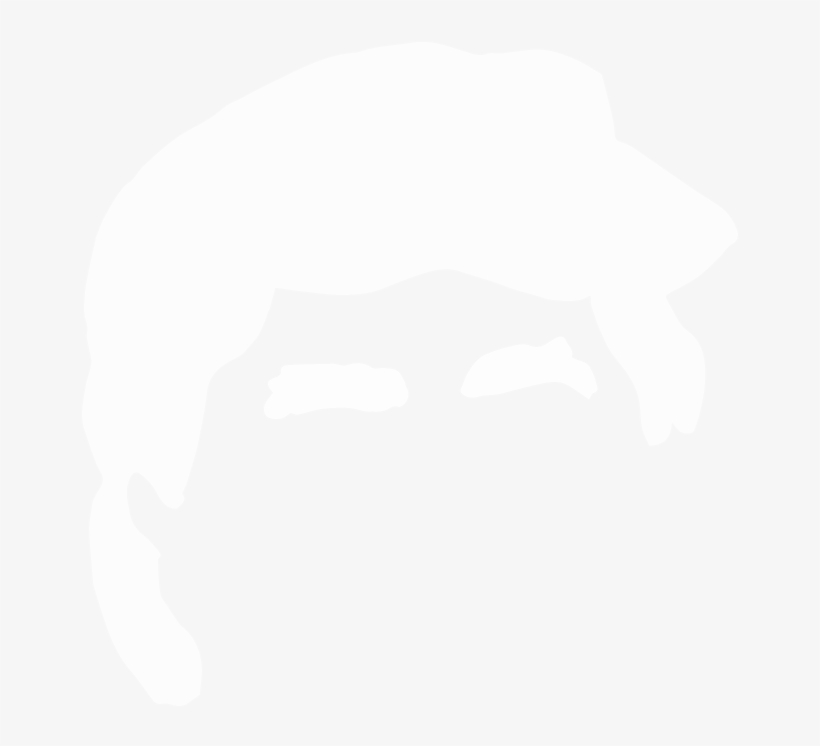 Trump-head, transparent png download