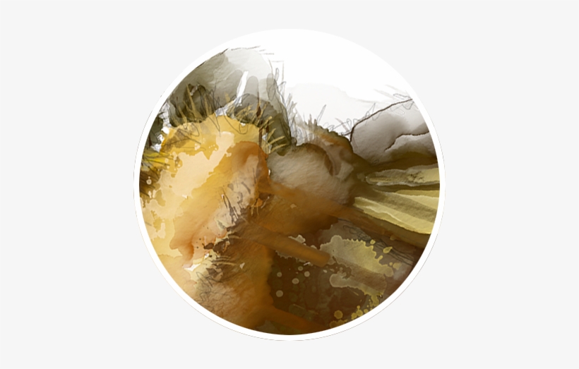 View The Gallery - Art, transparent png download