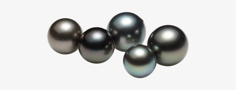 Pearl Buying Faqs Tahitian Cultured Pearls - Pearl, transparent png download