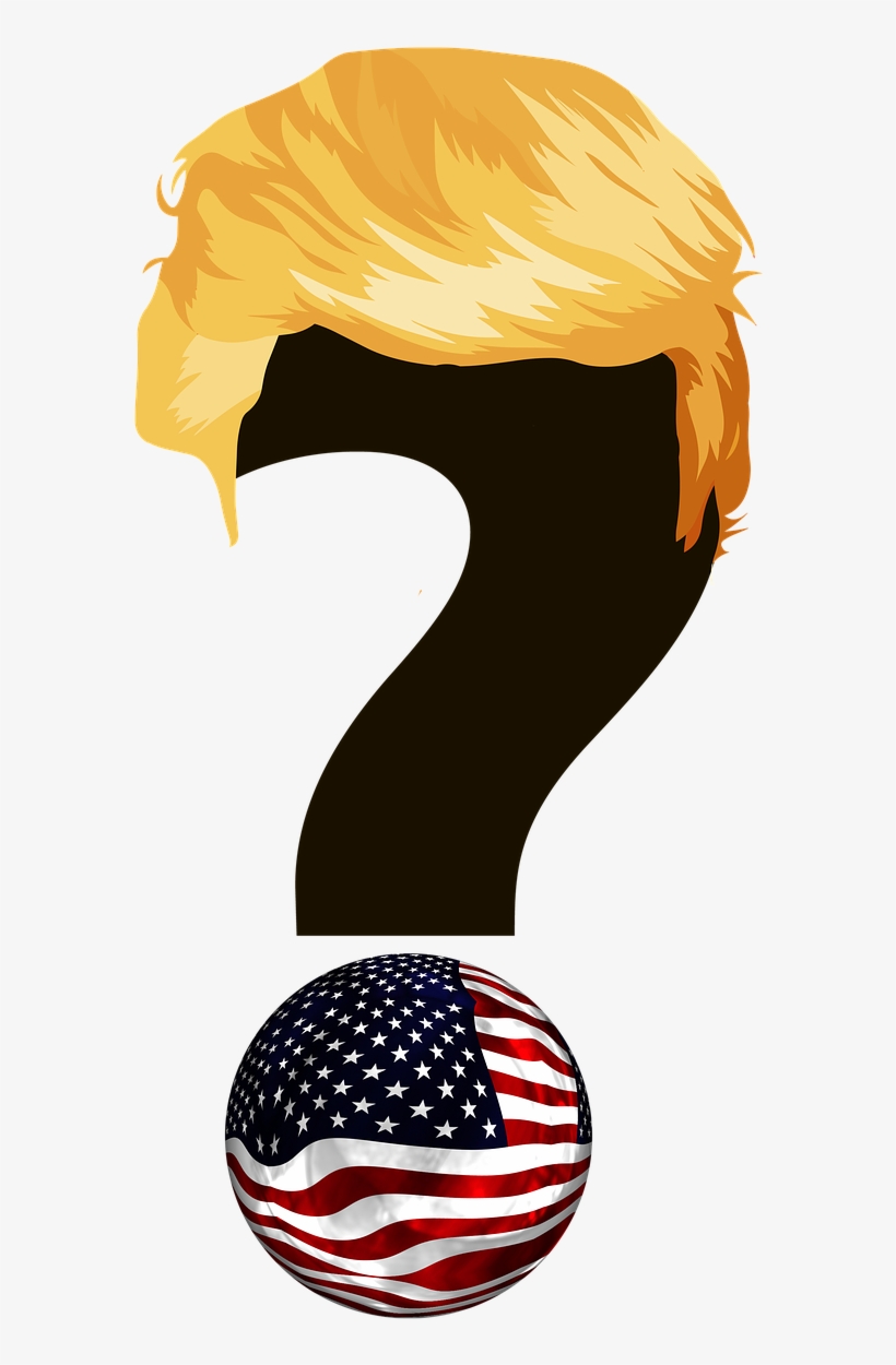Do You Need A Psychologist To Tell You Trump Is Crazy - Vraagteken Trump, transparent png download