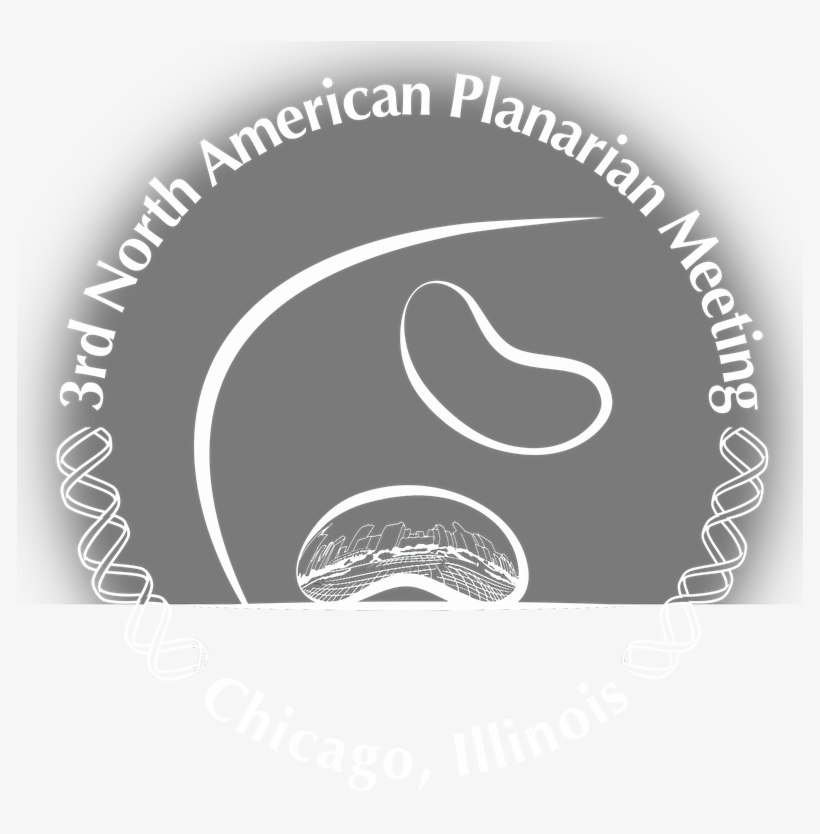 Meeting Logo-fade - North America, transparent png download