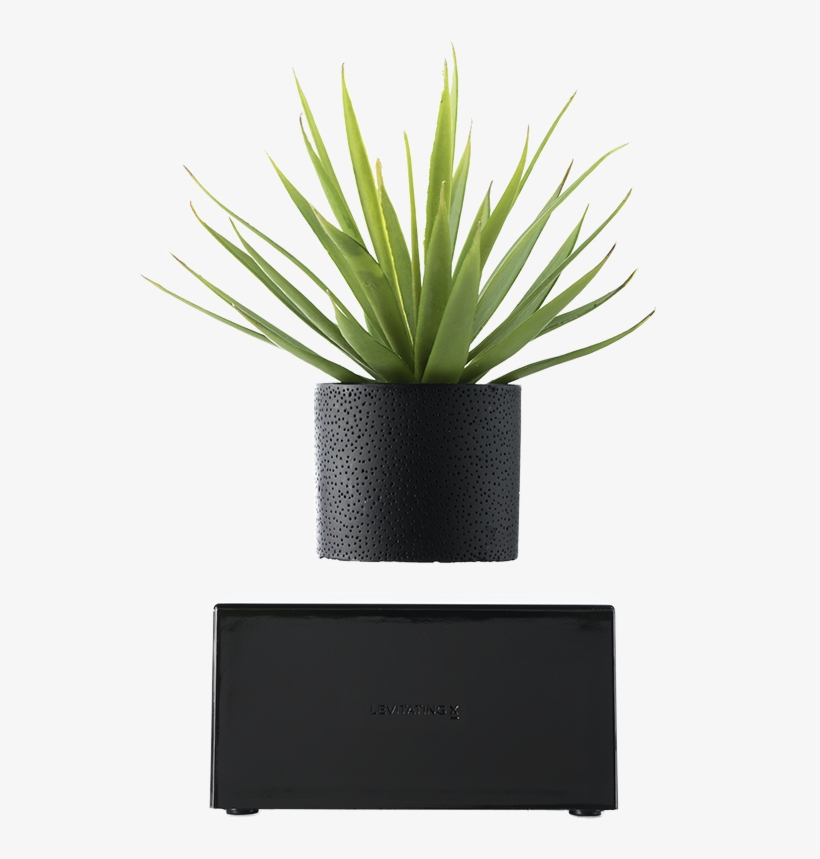 Plant Wireless - Job Portal Apps Icons, transparent png download