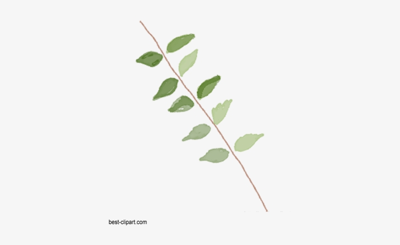 Light And Dark Leaves On A Branch, Watercolor Graphic - Watercolor Painting, transparent png download