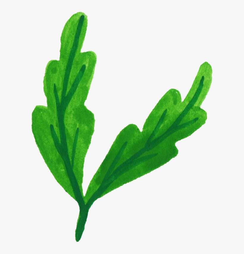 Free Download - Watercolour Leaf Png Clipart, transparent png download