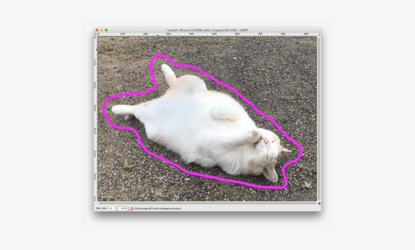 Then, Remove The Outside Of The Line - Kitten, transparent png download