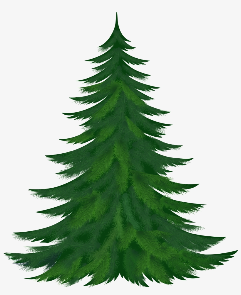 Pine Tree Clipart, transparent png download
