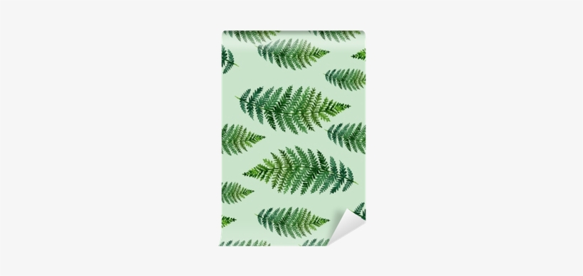 Tropical Watercolor Abstract Pattern With Fern Leaves - Elegant Decor Green Leaves Printing Flat-shaped Roman, transparent png download