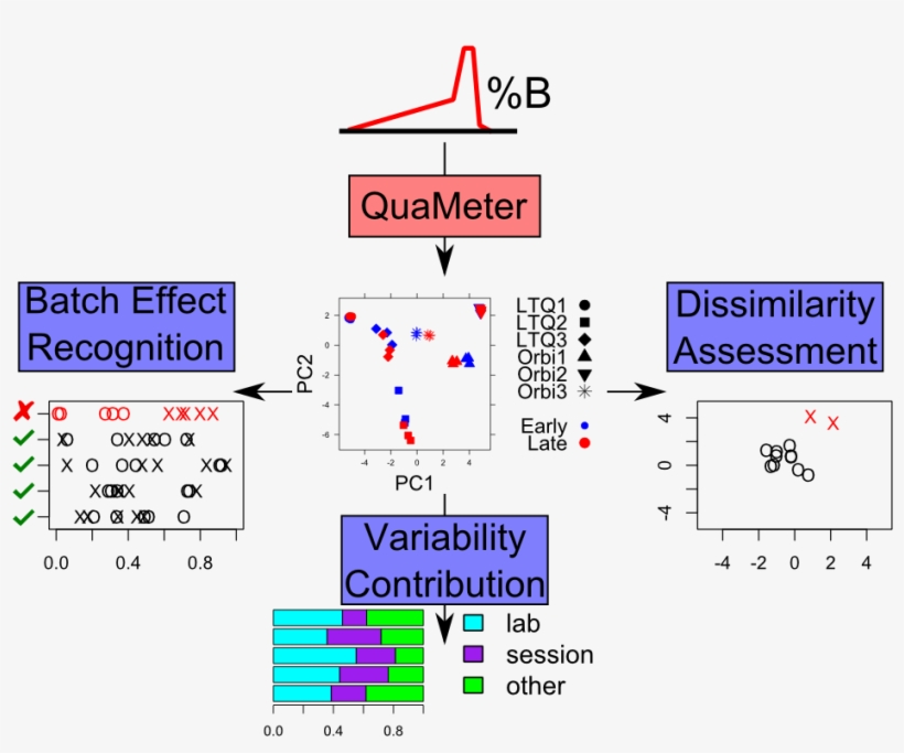 20131230 Xia Wang Toc - Diagram, transparent png download