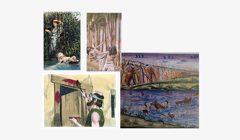 Reflection On The Twenty-fourth Sunday In Ordinary - Moses Slays An Egyptian, transparent png download