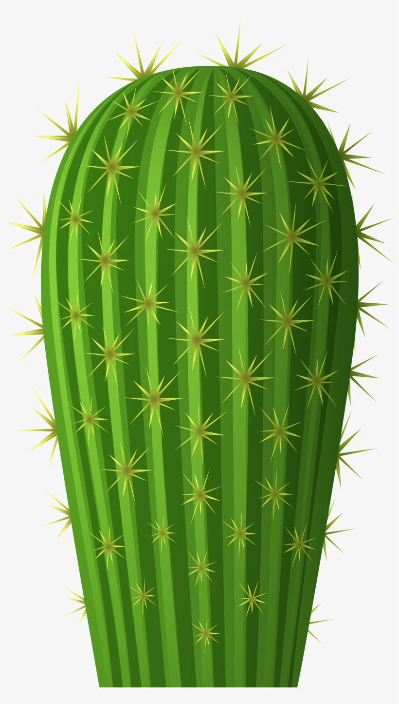 Selenicereus Hamatus, transparent png download